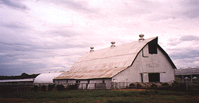 99renun1.GIF (27024 bytes)