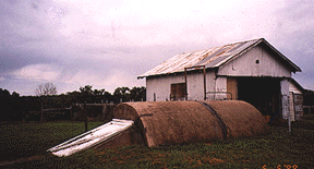 99renun2.GIF (27733 bytes)